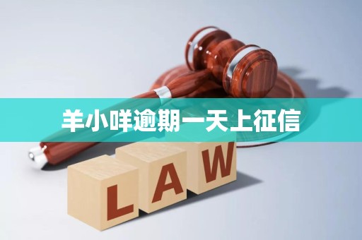 羊小咩逾期一天即上征信？解讀企業(yè)征信服務(wù)的重要性