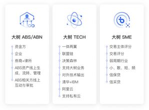大樹金融完成Pre-A輪融資，以流程風控賦能中小企業(yè)，投后估值達20億元