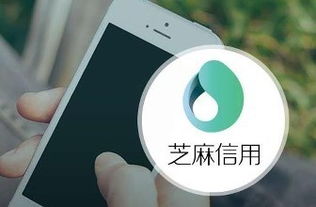 芝麻信用推出“靈芝”系統(tǒng)，以企業(yè)級征信服務賦能商業(yè)生態(tài)